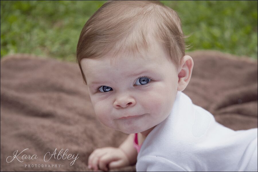 6 month old portraits Waverly NY