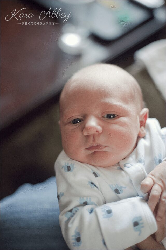 Family Photography Sayre, PA