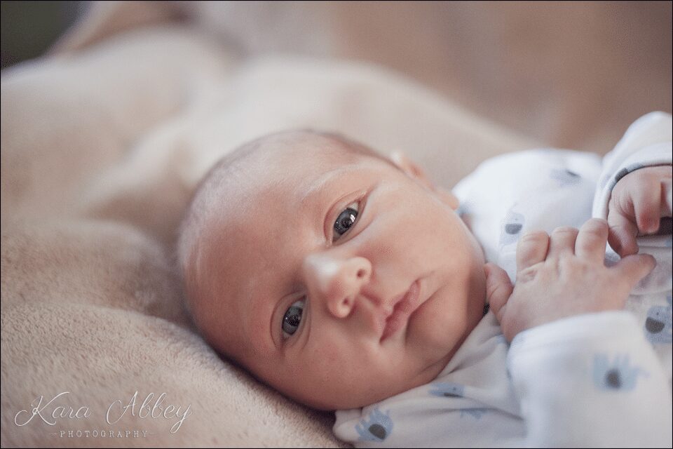 Family Photography Sayre, PA