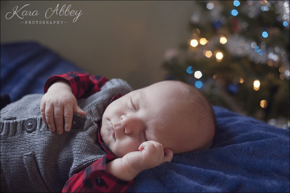 newborn photography brother smile family horseheads, NY Christmass tree