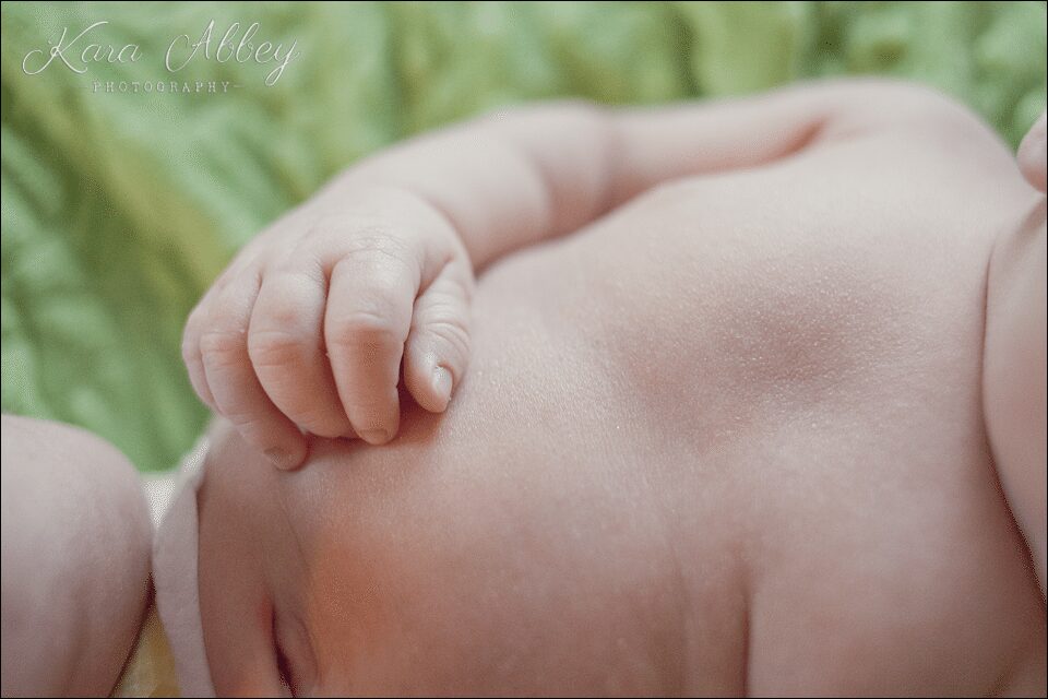 newborn photography brother belly family horseheads, NY