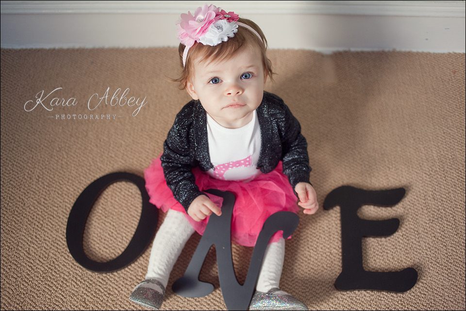 Baby kid photographer 1st birthday family photographer Waverly NY