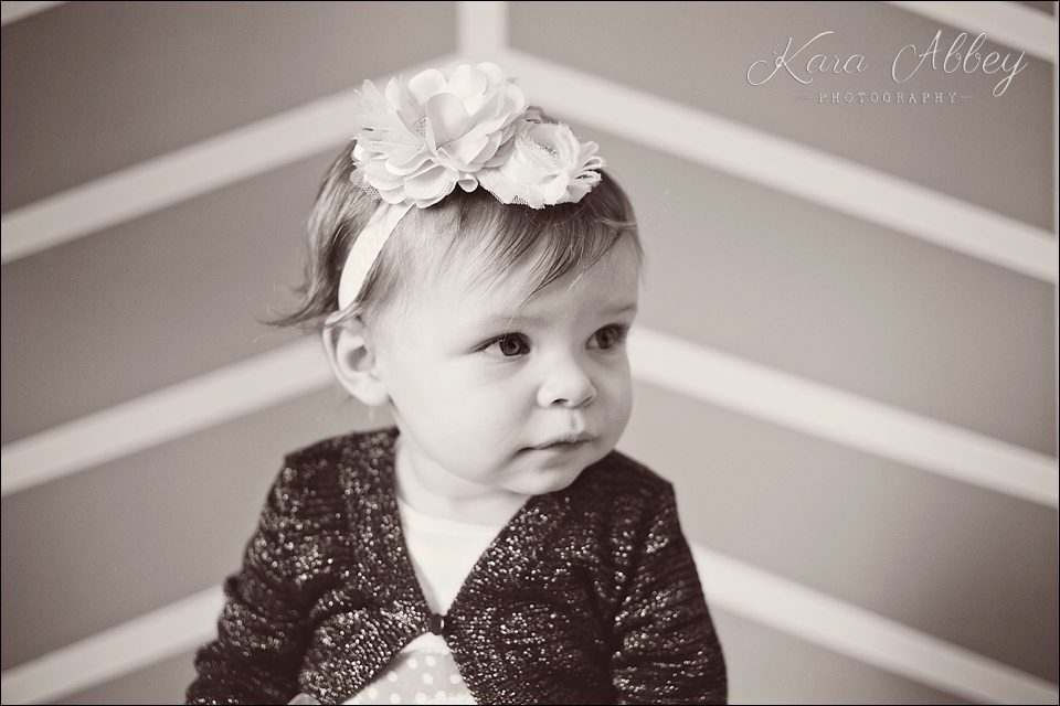 Baby kid photographer 1st birthday family photographer Waverly NY
