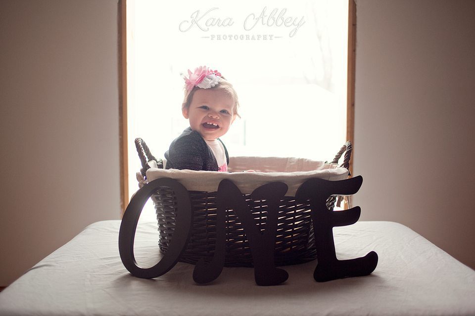 Baby kid photographer 1st birthday family photographer Waverly NY