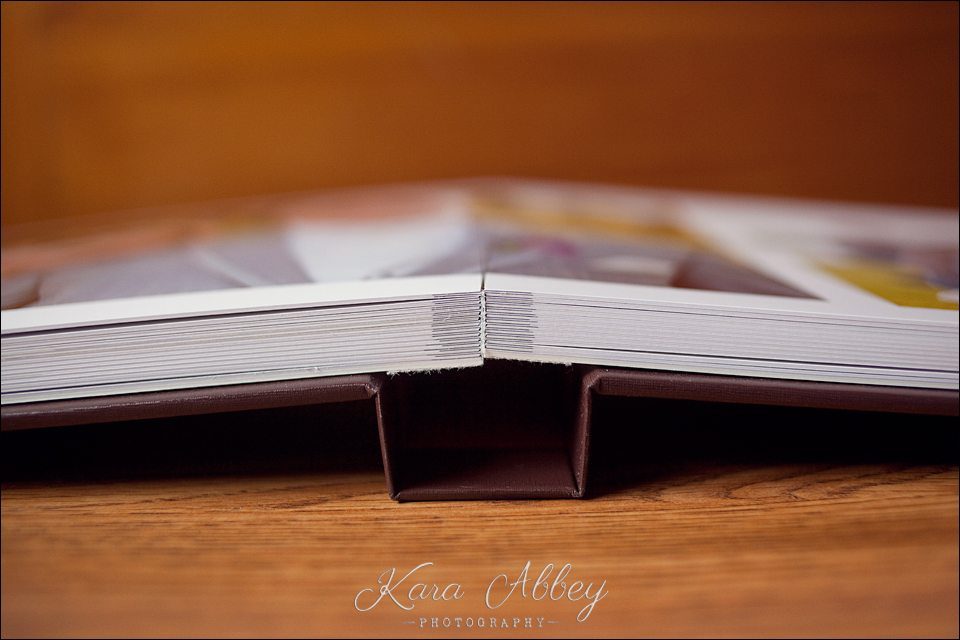 Luxury Wedding Albums with Layflat Binding Engagement Wedding Photography Products Sayre PA Irwin PA