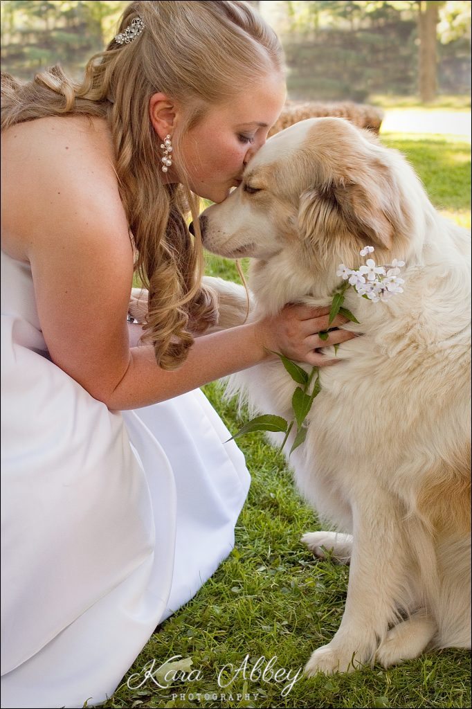 Wedding Photography Pittsburgh PA Irwin PA Greensburg PA Monroeville PA bride kiss dog