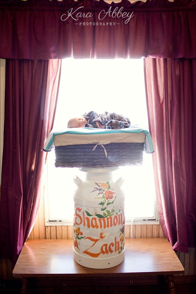 Portrait Photography Pittsburgh PA Irwin PA Greensburg PA Monroeville PA Newborn Composite