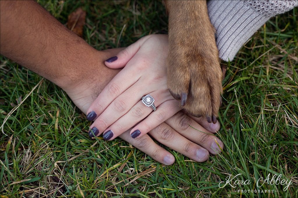 Wedding Engagement Photographer Binghamton NY Pittsburgh PA College Campus Fall Dog Paw Ring