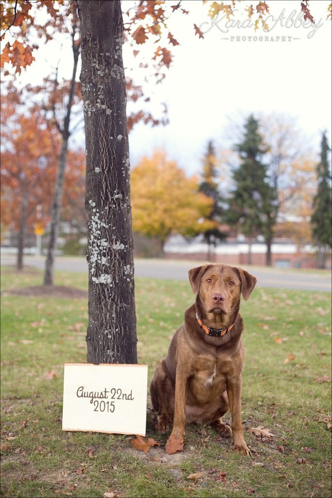 Wedding Engagement Photographer Binghamton NY Pittsburgh PA College Campus Fall Dog Save-the-Date