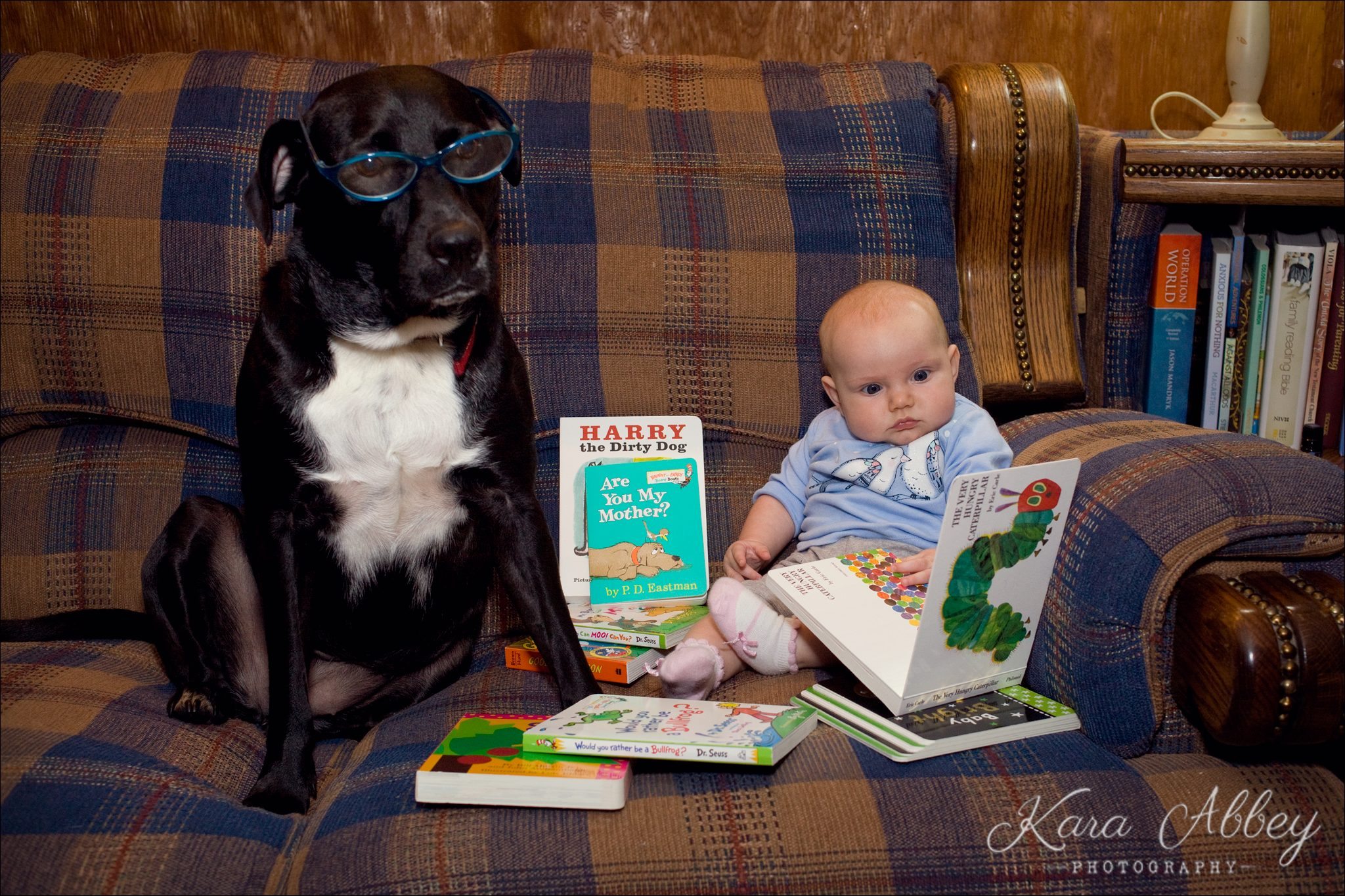 Abby's Saturday reading books people photography Irwin, PA Kara Abbey Photography