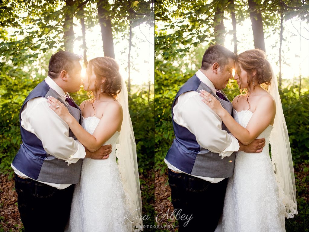 wedding photography Irwin, PA Pittsburgh, PA Towanda, PA Shoresbrook Inn bride & groom portrait