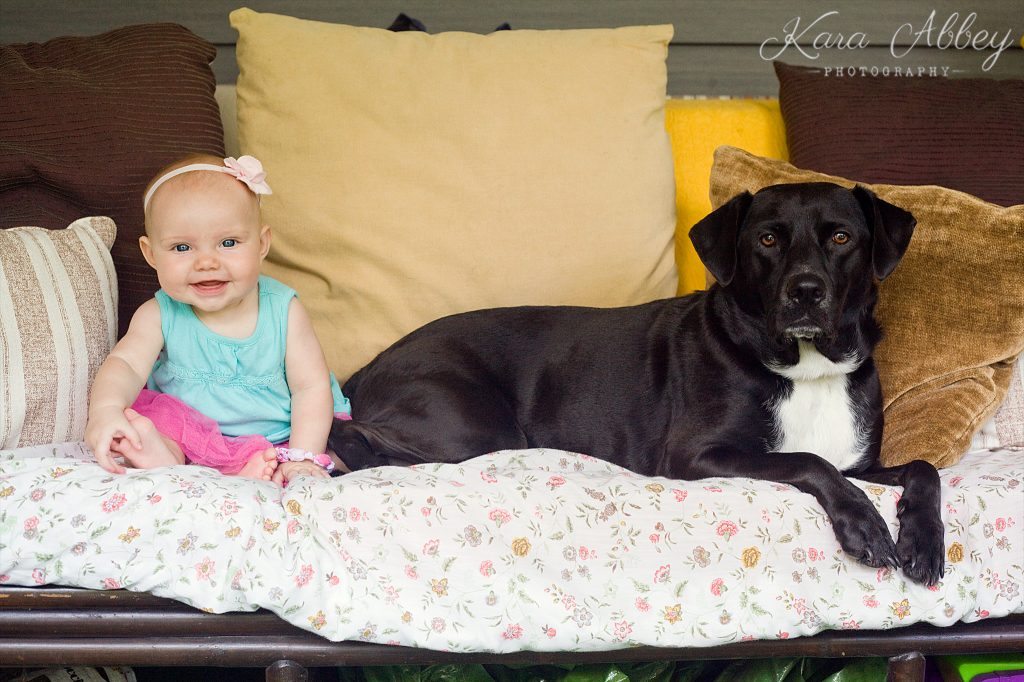 Abby's Saturday 54 Lifestyle Photography Dog and Baby Irwin, PA Pittsburgh, PA Monroeville, PA Greensburg, PA