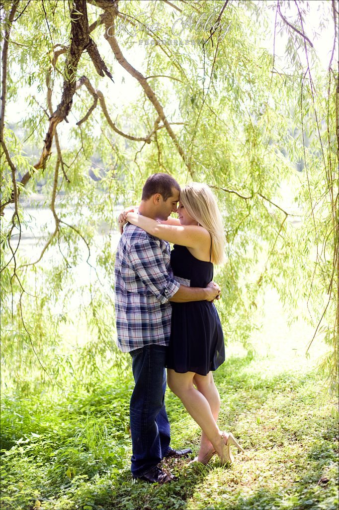 Outdoor Wedding and Engagement Photographer Ostiningo Park Binghamton NY Willow Trees