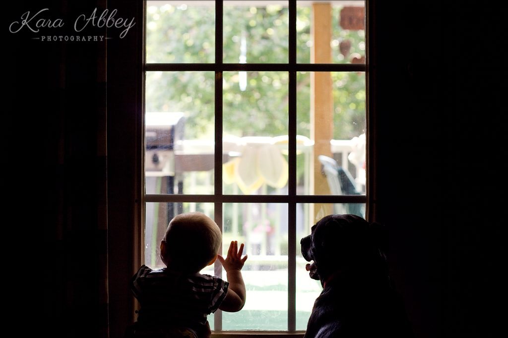 Abby's Saturday Lifestyle Pet Photography Dog and Baby Sillouette Irwin, PA Pittsburgh, PA Monroeville, PA Greensburg, PA