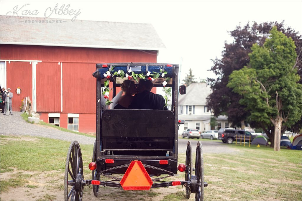 Country Wedding Photography Weaver View Farms Penn Yan, NY Bride Groom Portrait Amish Horse and Buggy