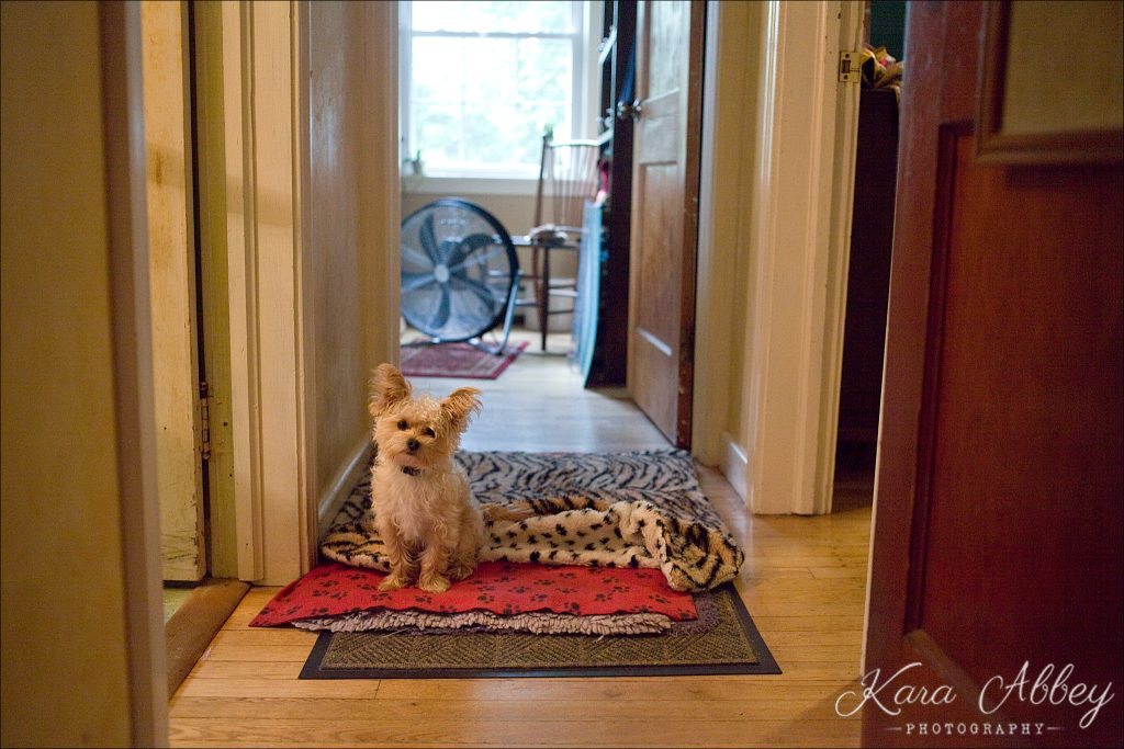 rainy day wedding photographer Binghamton, NY getting ready details dog