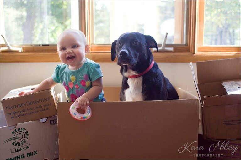 Abby's Saturday Pet Photography Baby and Dog Moving Boxes Irwin, PA