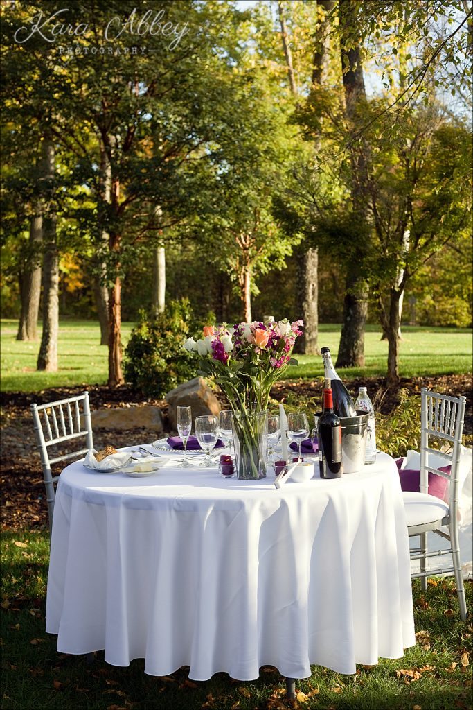 Monroeville, PA Community Park Wedding Gazebo Marriage Proposal Engagement Dinner Details