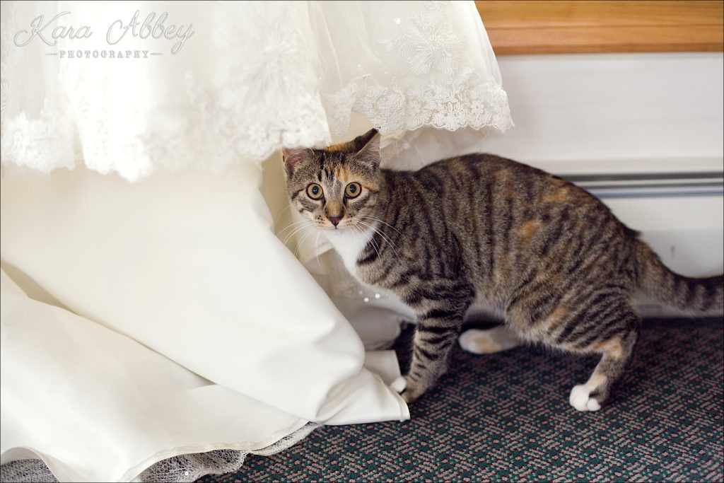 Rustic Country Chic Fall Wedding Wysox, PA Bridal Details Getting Ready Dress Gown Cat