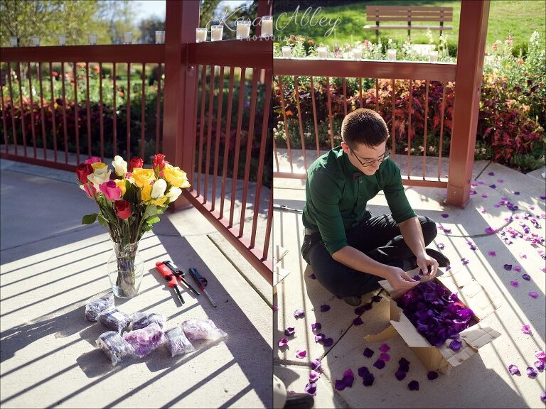 Monroeville, PA Community Park Wedding Gazebo Marriage Proposal Engagement Prep