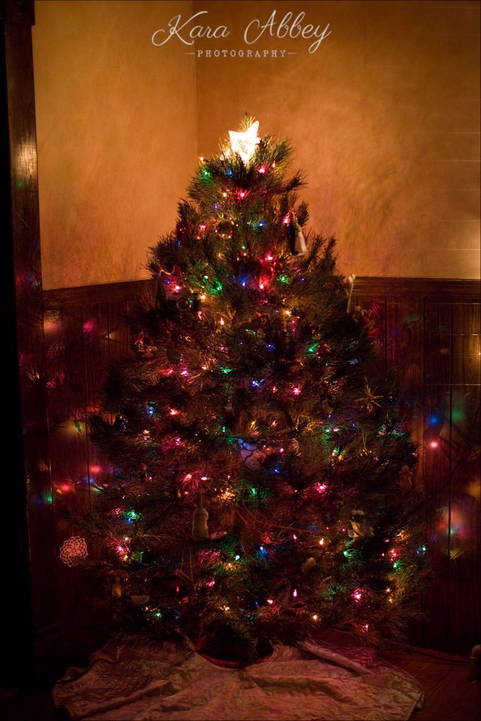 Merry Christmas First Christmas Glowing Tree Lights Irwin, PA