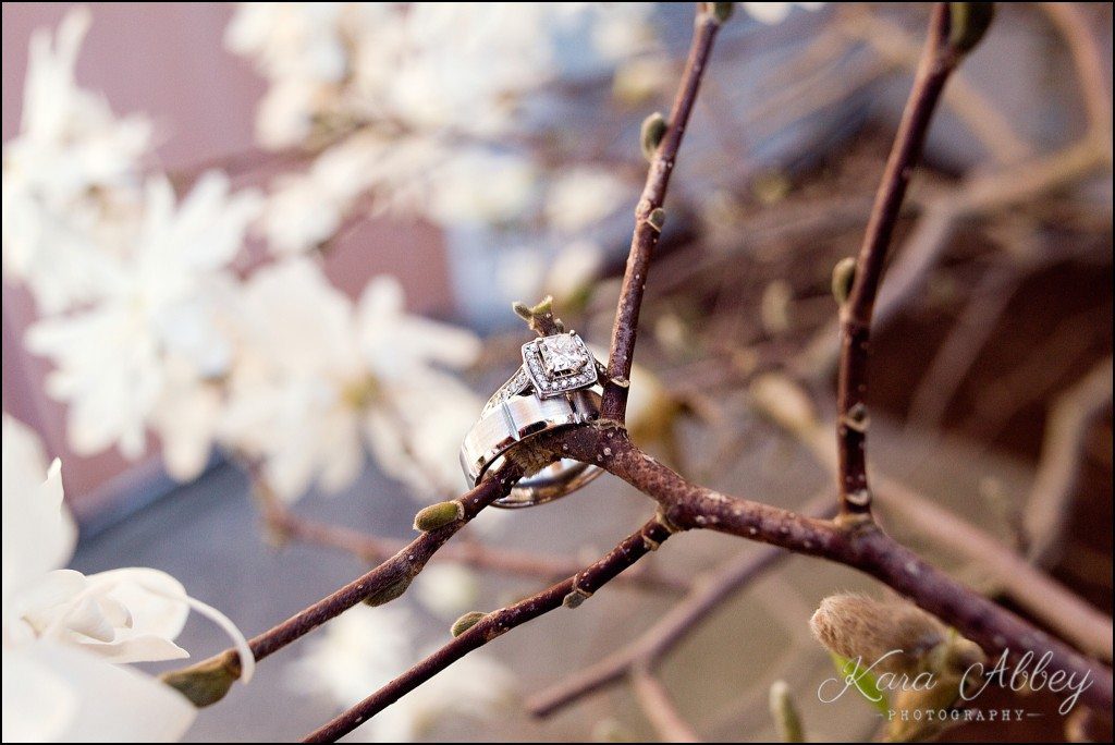 Kara Abbey Photography, Irwin, PA | 2015 Favorite Portraits