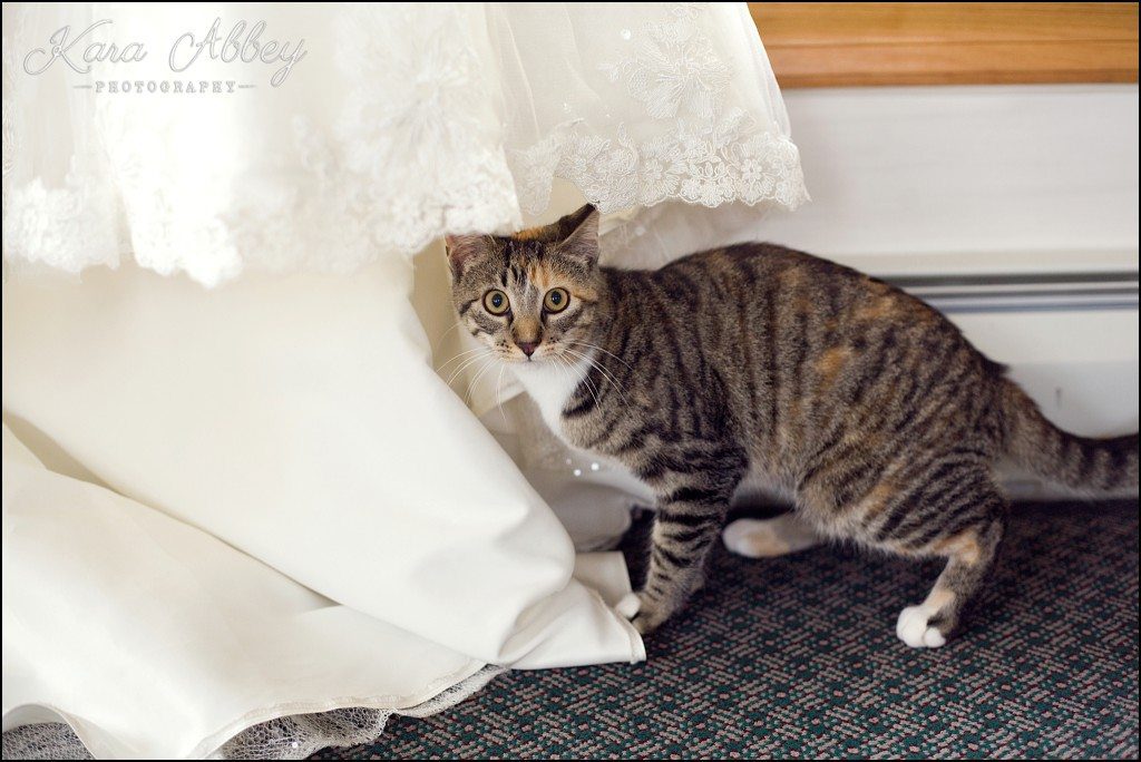 Kara Abbey Photography, Irwin, PA | 2015 Favorite Weddings