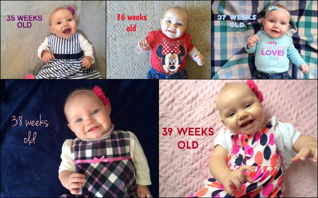Weekly Instagram Update Milestone Photo Irwin, PA
