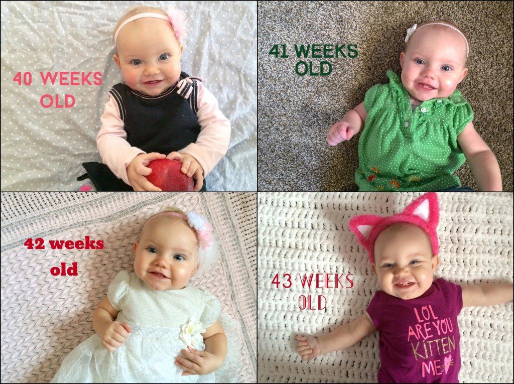 Weekly Instagram Update Milestone Photo Irwin, PA