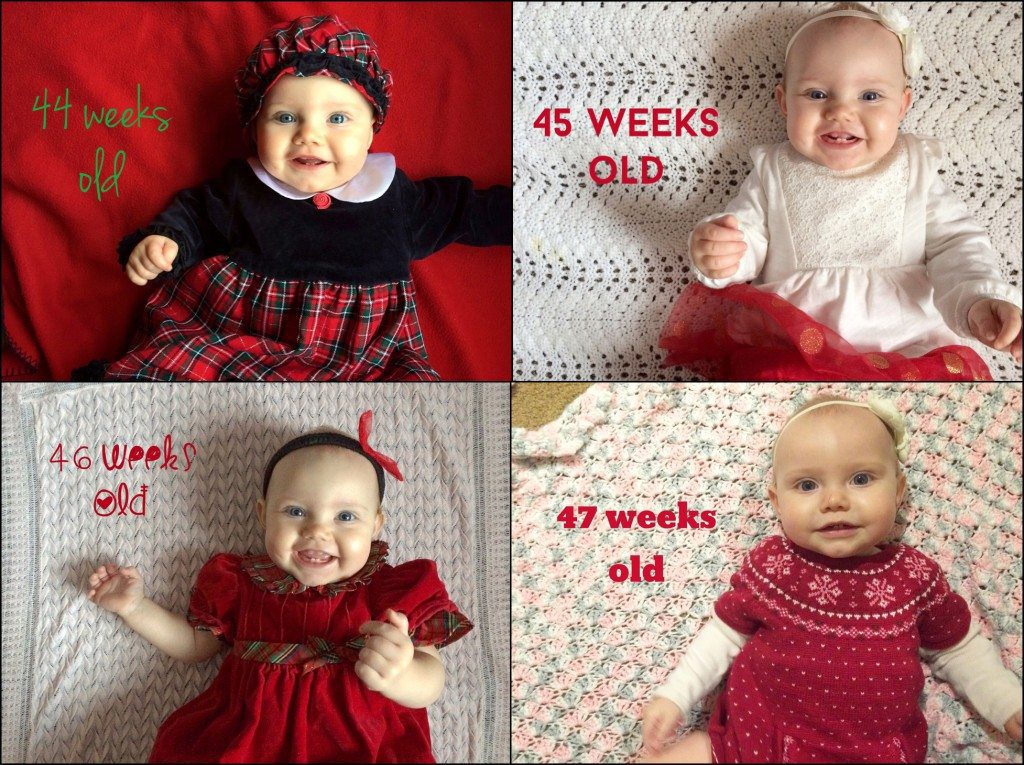 Weekly Instagram Update Milestone Photo Irwin, PA