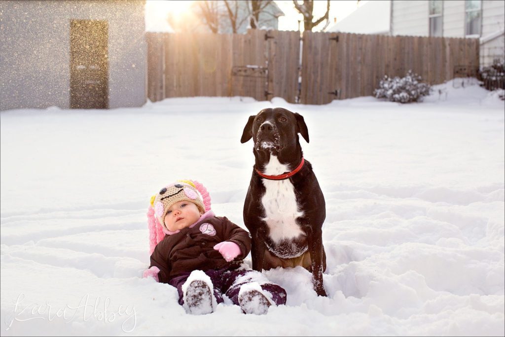Abby's Saturday Lifestyle Pet Photography Black Lab and Baby in the Snow Irwin, PA