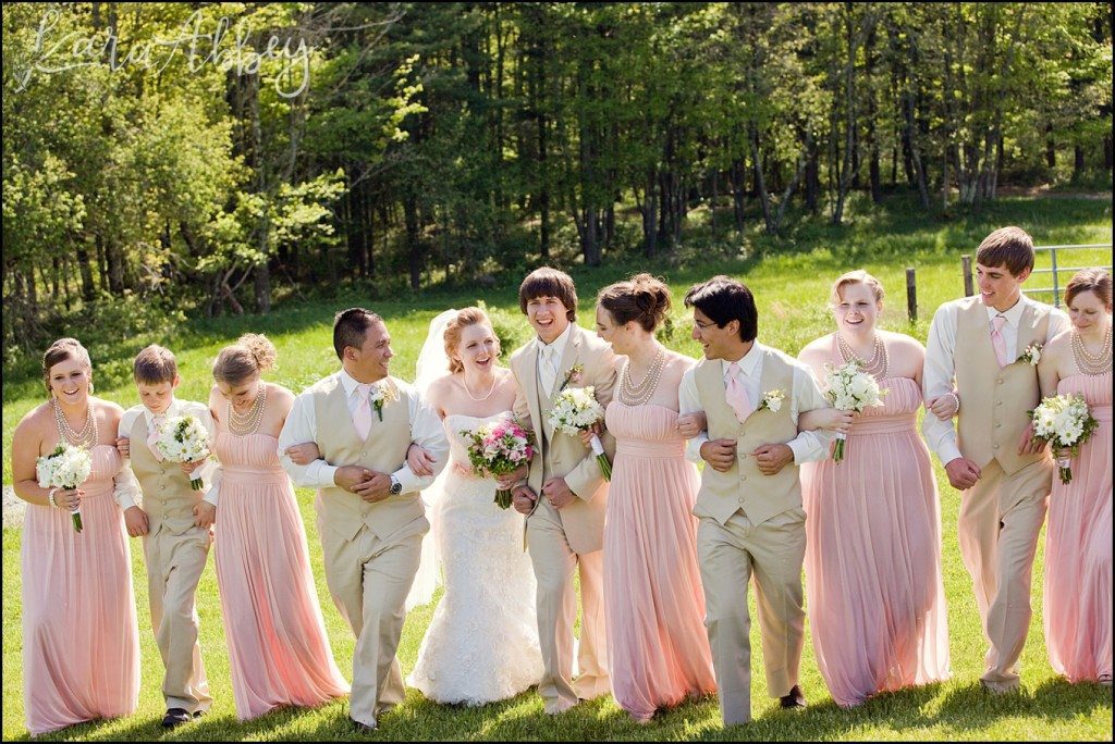 UP Themed Summer Wedding Photography The Hayloft Rockwood, PA Bridal Party