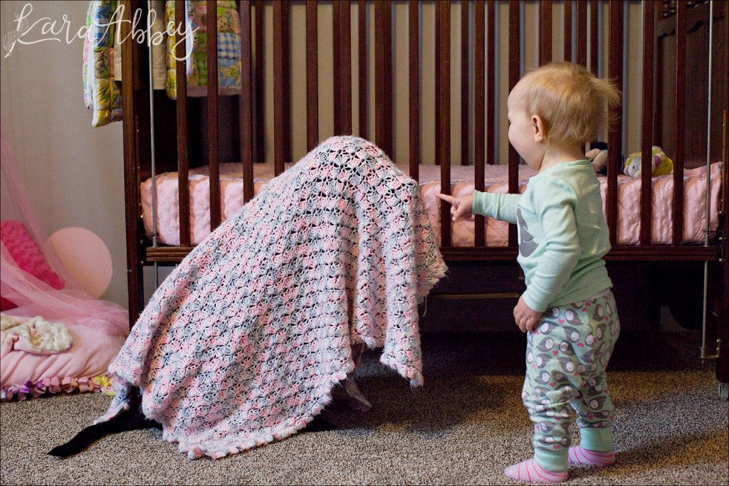 Abby's Saturday Lifestyle Pet Photography Black Lab and Baby Playing Hide & Seek Irwin, PA