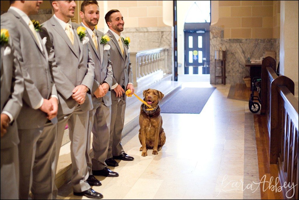 5 Tips on How to Incorporate Your Dog into Your Wedding Day by Kara Abbey Photography Irwin, PA