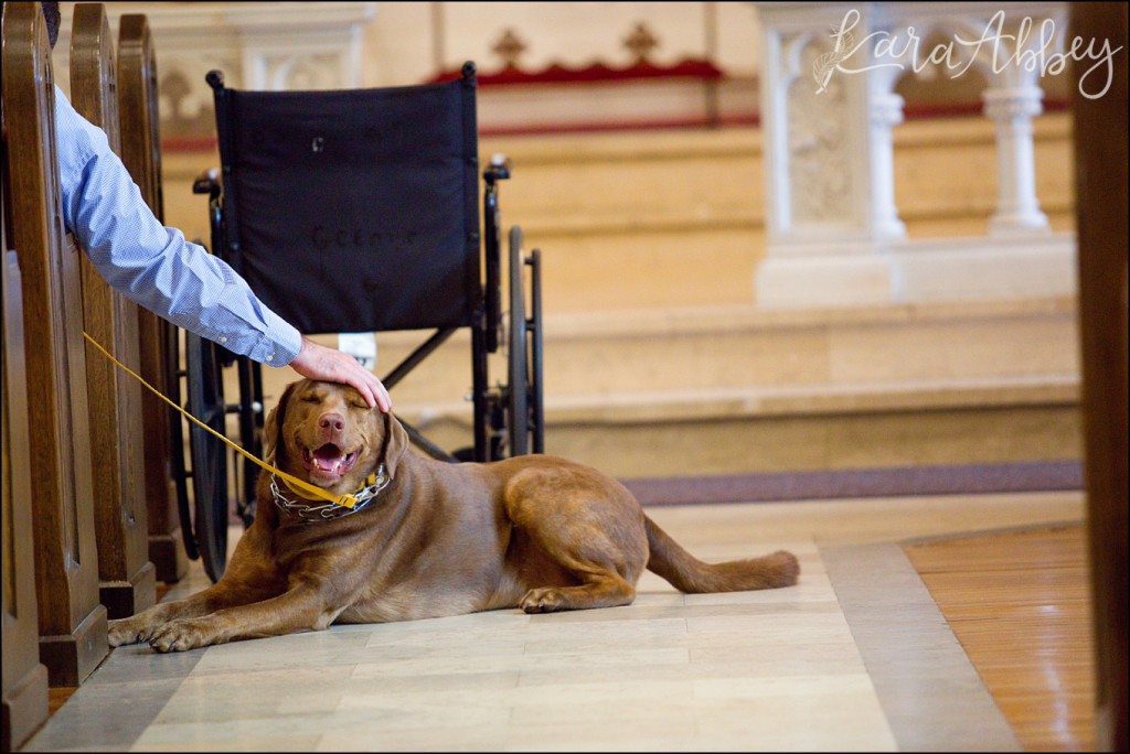 5 Tips on How to Incorporate Your Dog into Your Wedding Day by Kara Abbey Photography Irwin, PA