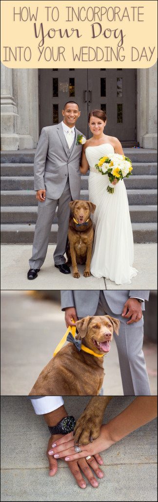 5 Tips on How to Incorporate Your Dog into Your Wedding Day by Kara Abbey Photography Irwin, PA