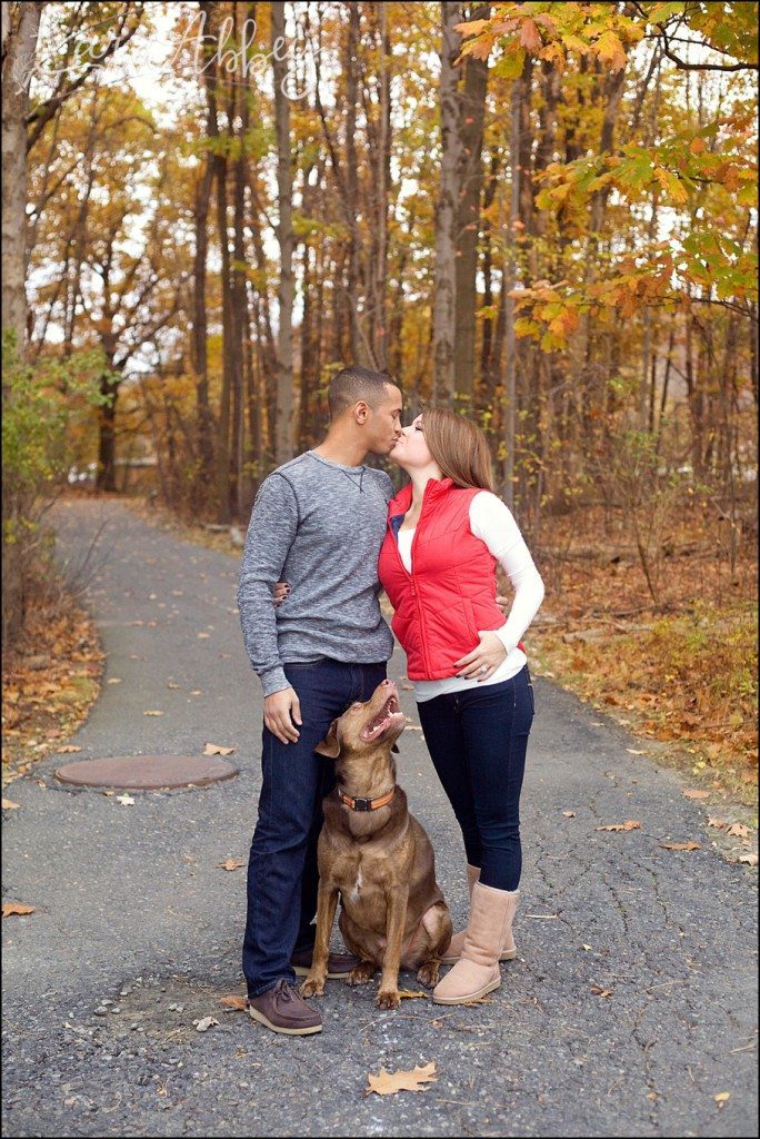 5 Tips on How to Incorporate Your Dog into Your Wedding Day by Kara Abbey Photography Irwin, PA
