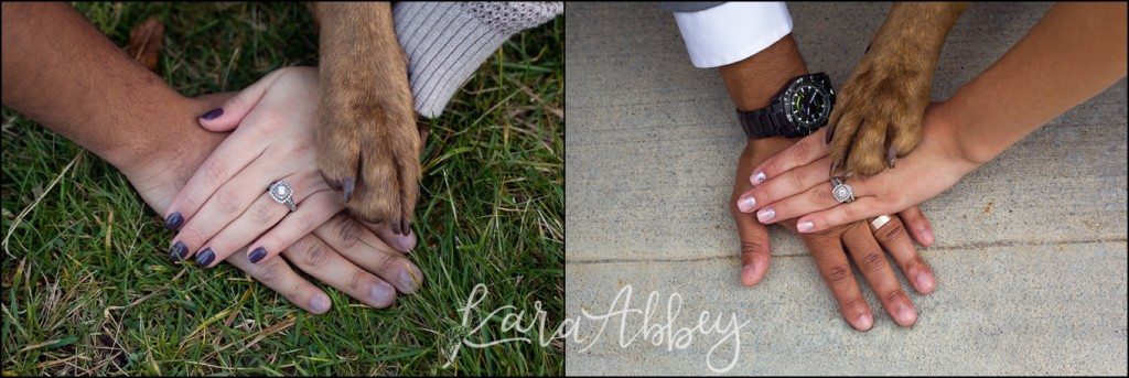5 Tips on How to Incorporate Your Dog into Your Wedding Day by Kara Abbey Photography Irwin, PA