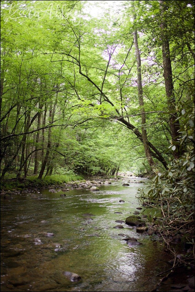 Spring Family Vacation - Gatlinburg Trail in the Great Smokey Mountains