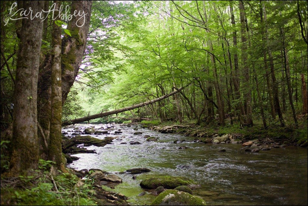 Spring Family Vacation - Gatlinburg Trail in the Great Smokey Mountains