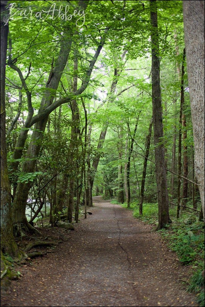 Spring Family Vacation - Gatlinburg Trail in the Great Smokey Mountains