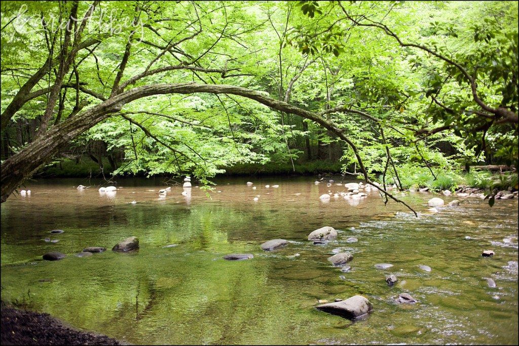 Spring Family Vacation - Gatlinburg Trail in the Great Smokey Mountains