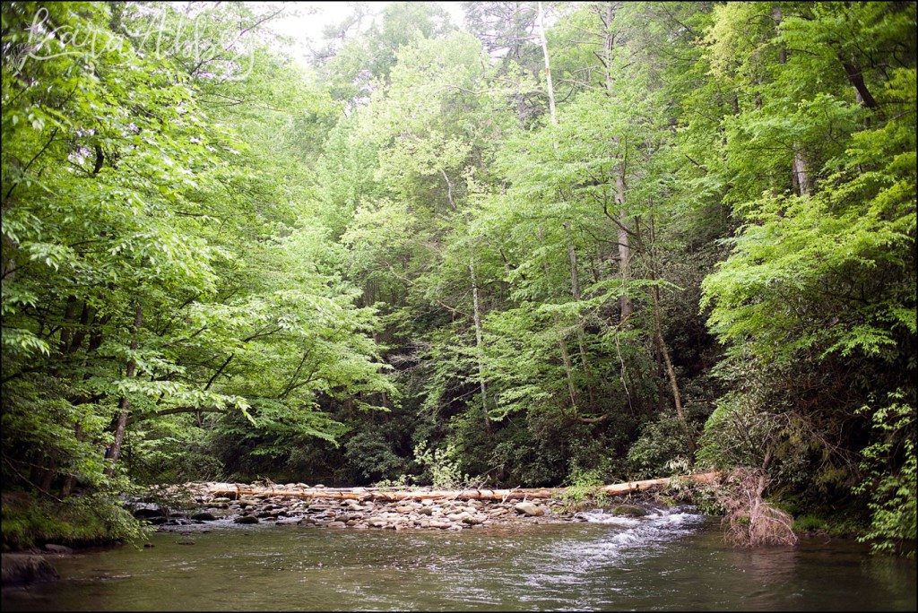 Spring Family Vacation - Gatlinburg Trail in the Great Smokey Mountains