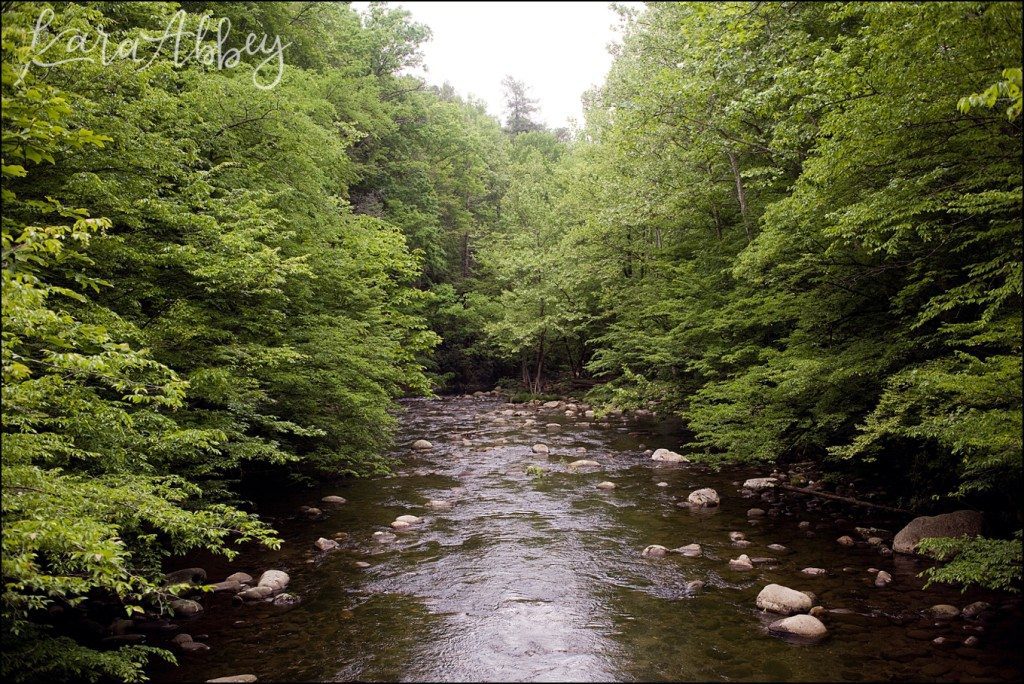 Spring Family Vacation - Gatlinburg Trail in the Great Smokey Mountains