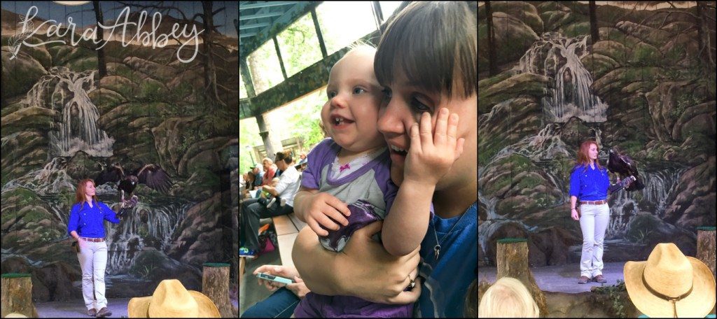 Spring Family Vacation to Dollywood in Pigeon Forge, TN - Birds of Prey Show