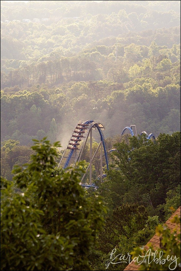 Spring Family Vacation to Dollywood in Pigeon Forge, TN - Wild Eagle