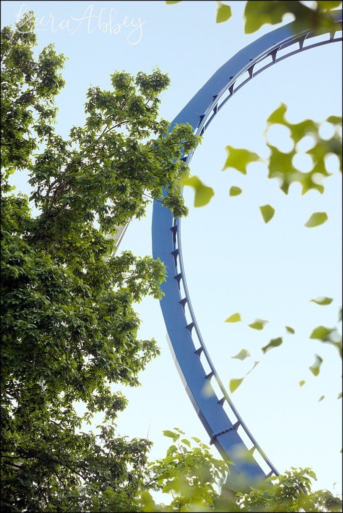 Spring Family Vacation to Dollywood in Pigeon Forge, TN - Wild Eagle
