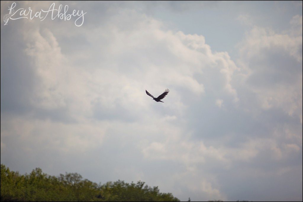Gorgeous Sunny Memorial Day Weekend at Deep Creek Lake, MD