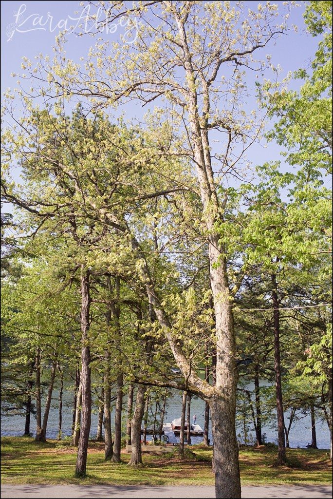 Gorgeous Sunny Memorial Day Weekend at Deep Creek Lake, MD