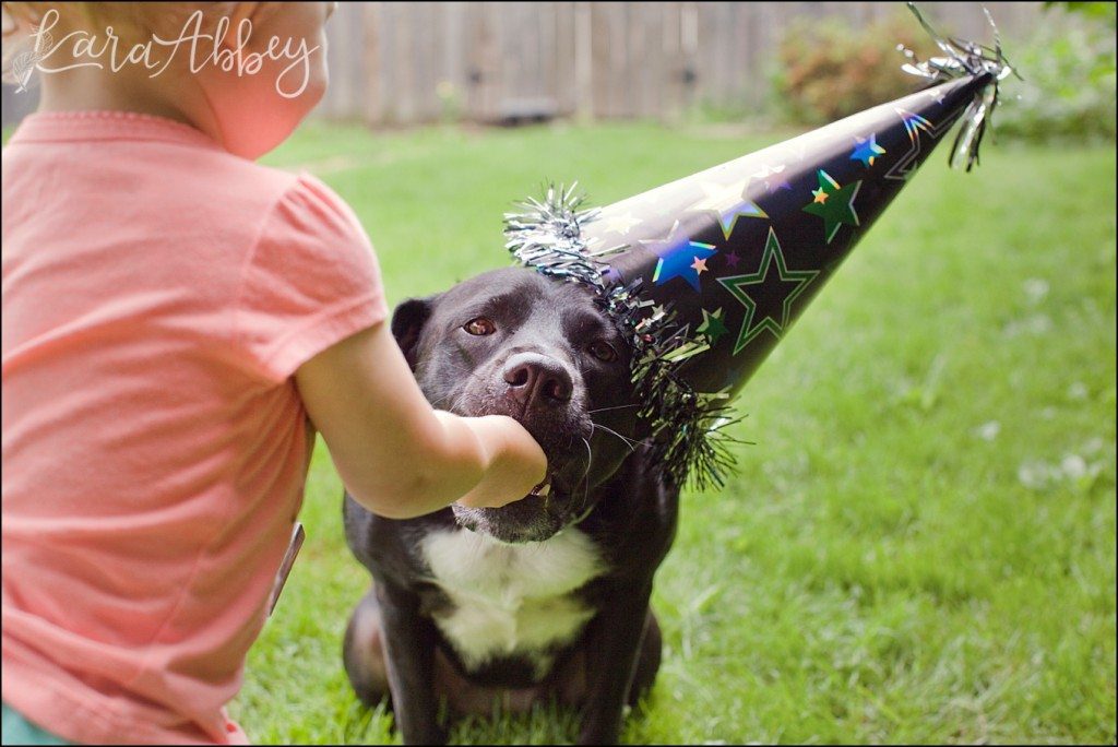 Happy Birthday Abby! A Doggie Birthday Party by Kara Abbey Photography in Irwin, PA